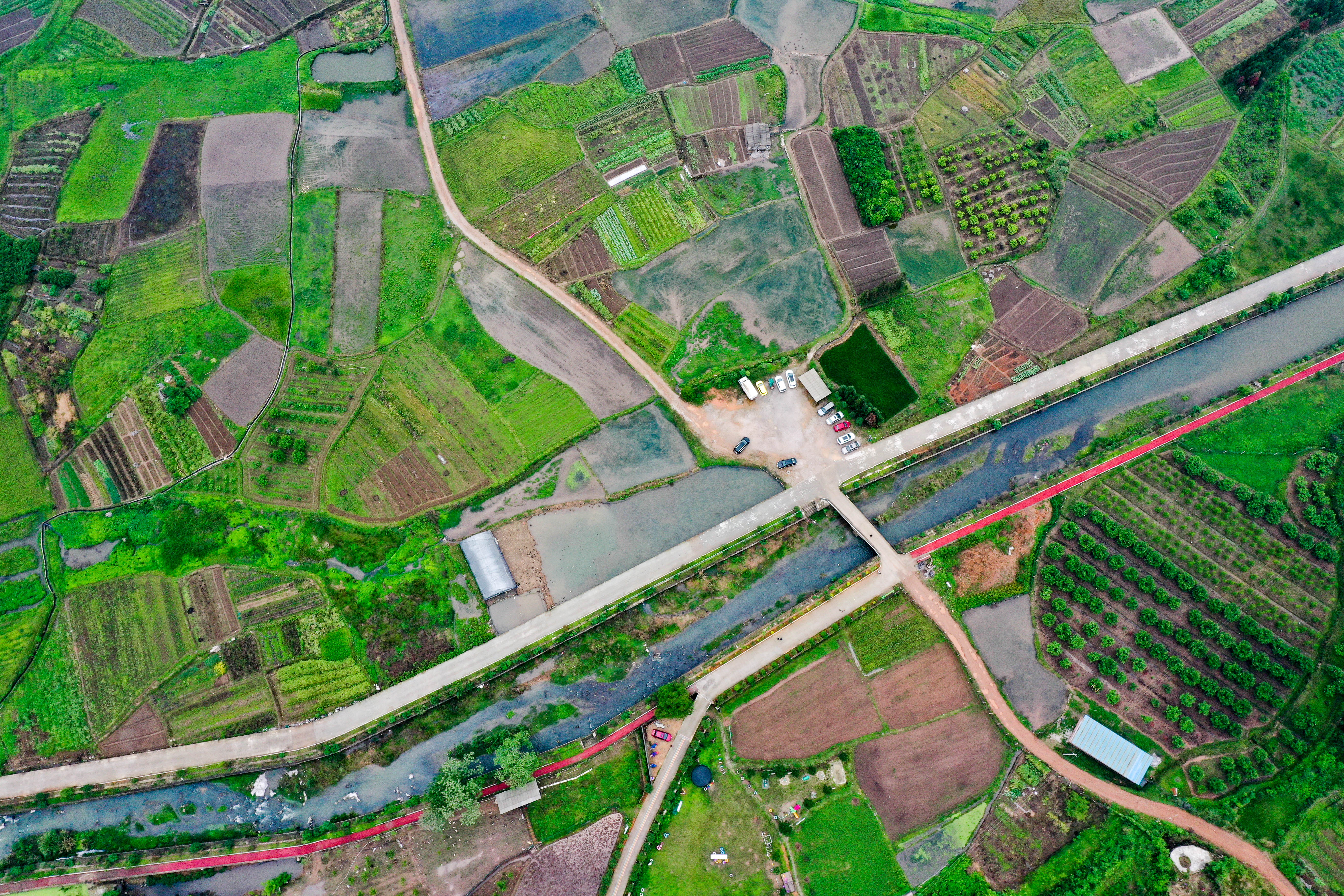 DJI_0376.jpg