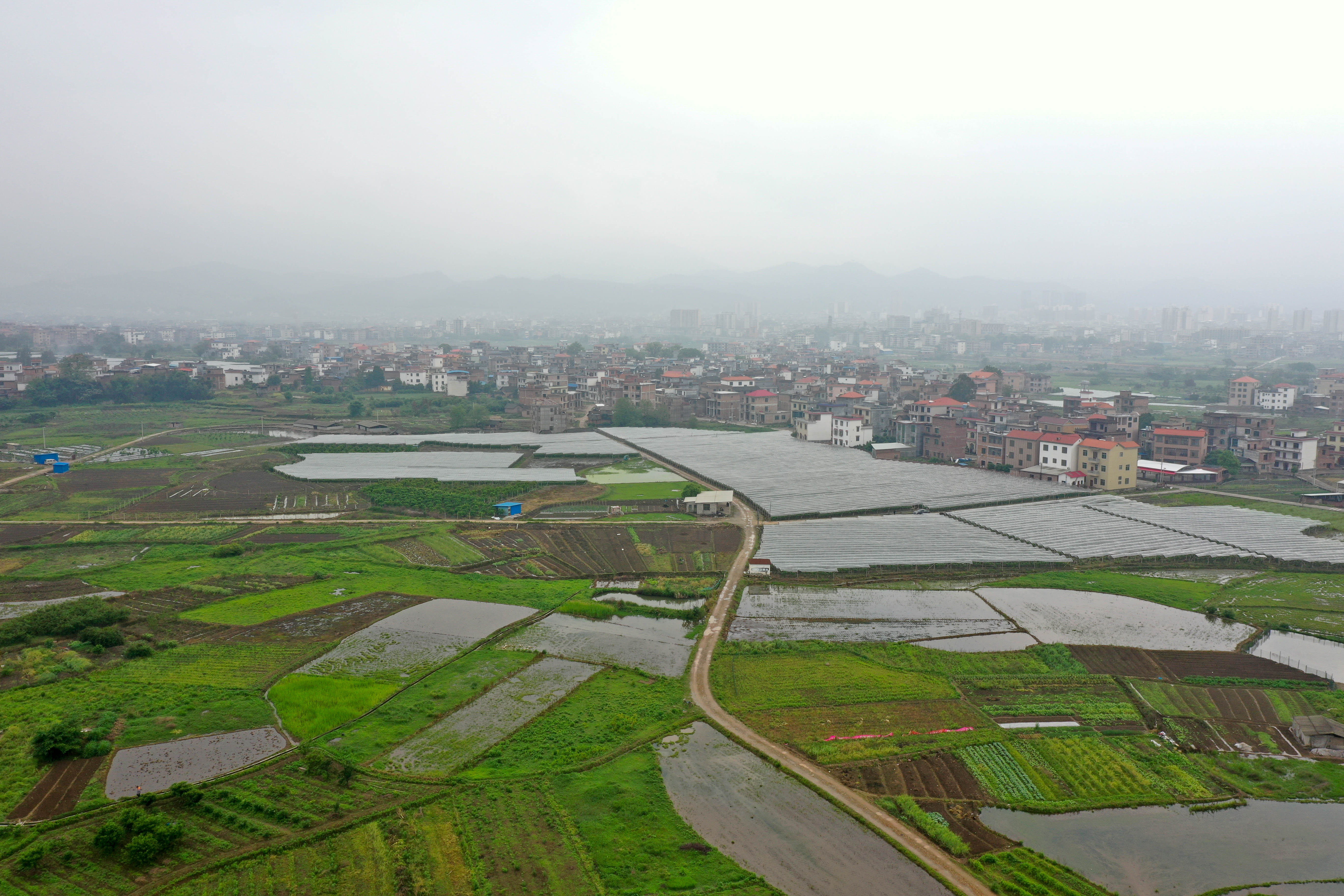 DJI_0388.jpg