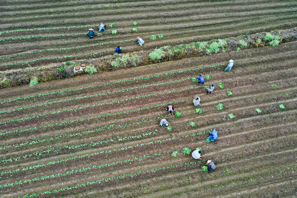 DJI_0245.jpg