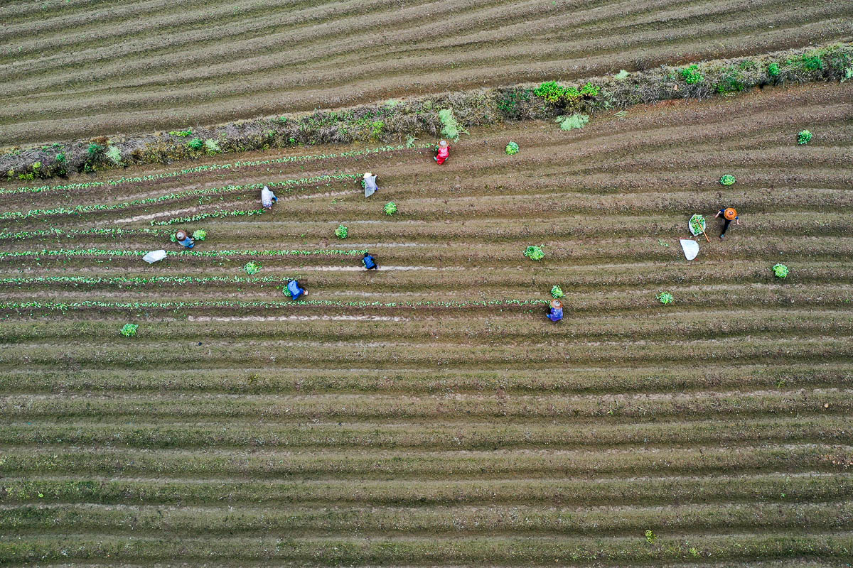 DJI_0260.jpg
