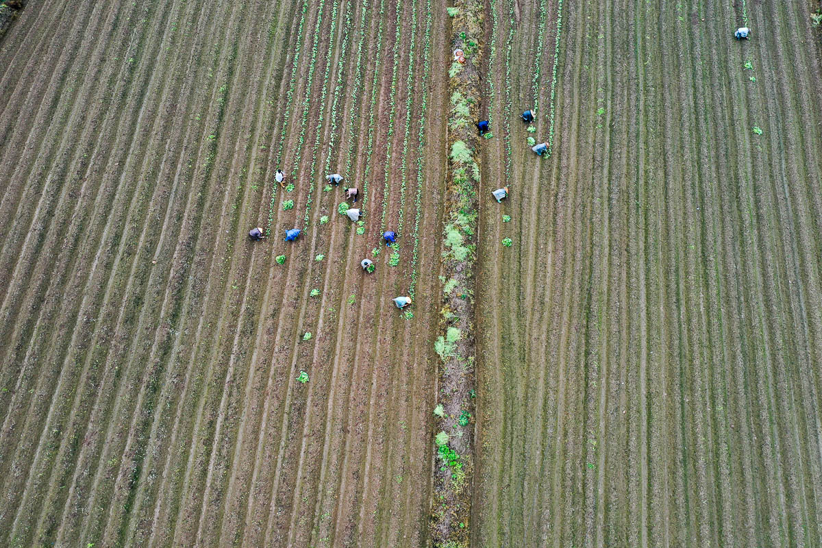 DJI_0271.jpg