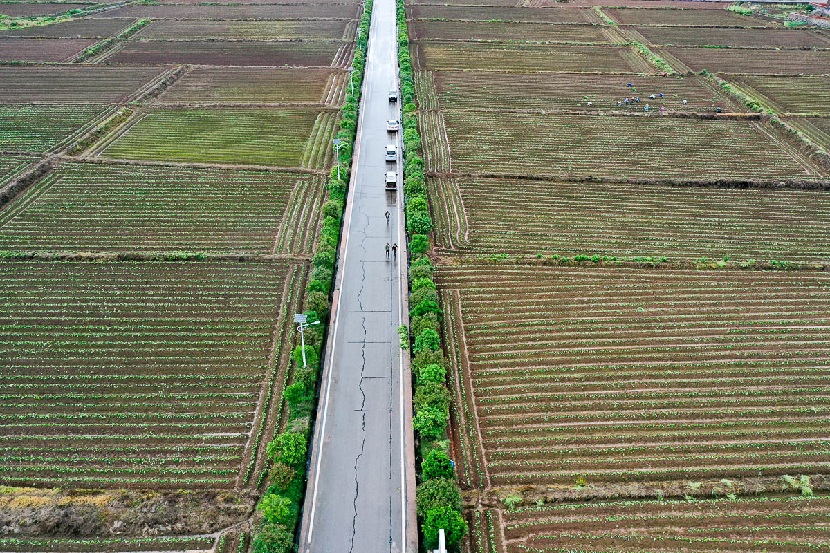 DJI_0309.jpg