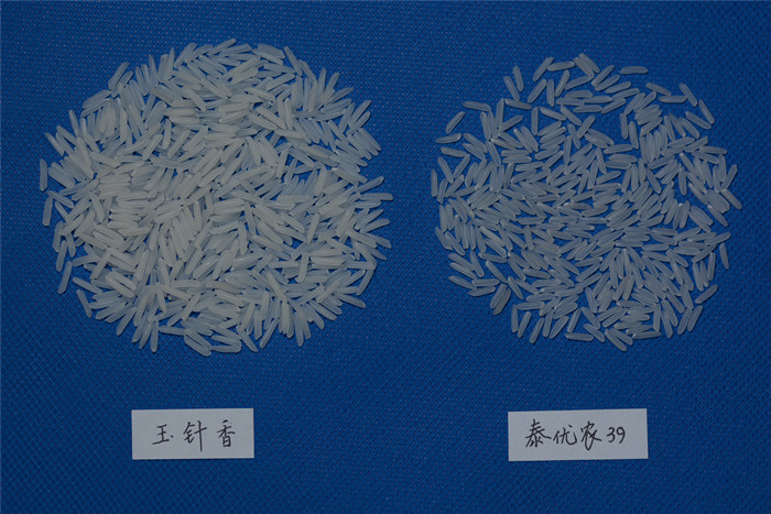 clip_image005.jpg