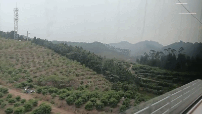 微信图片_20210511184933.gif