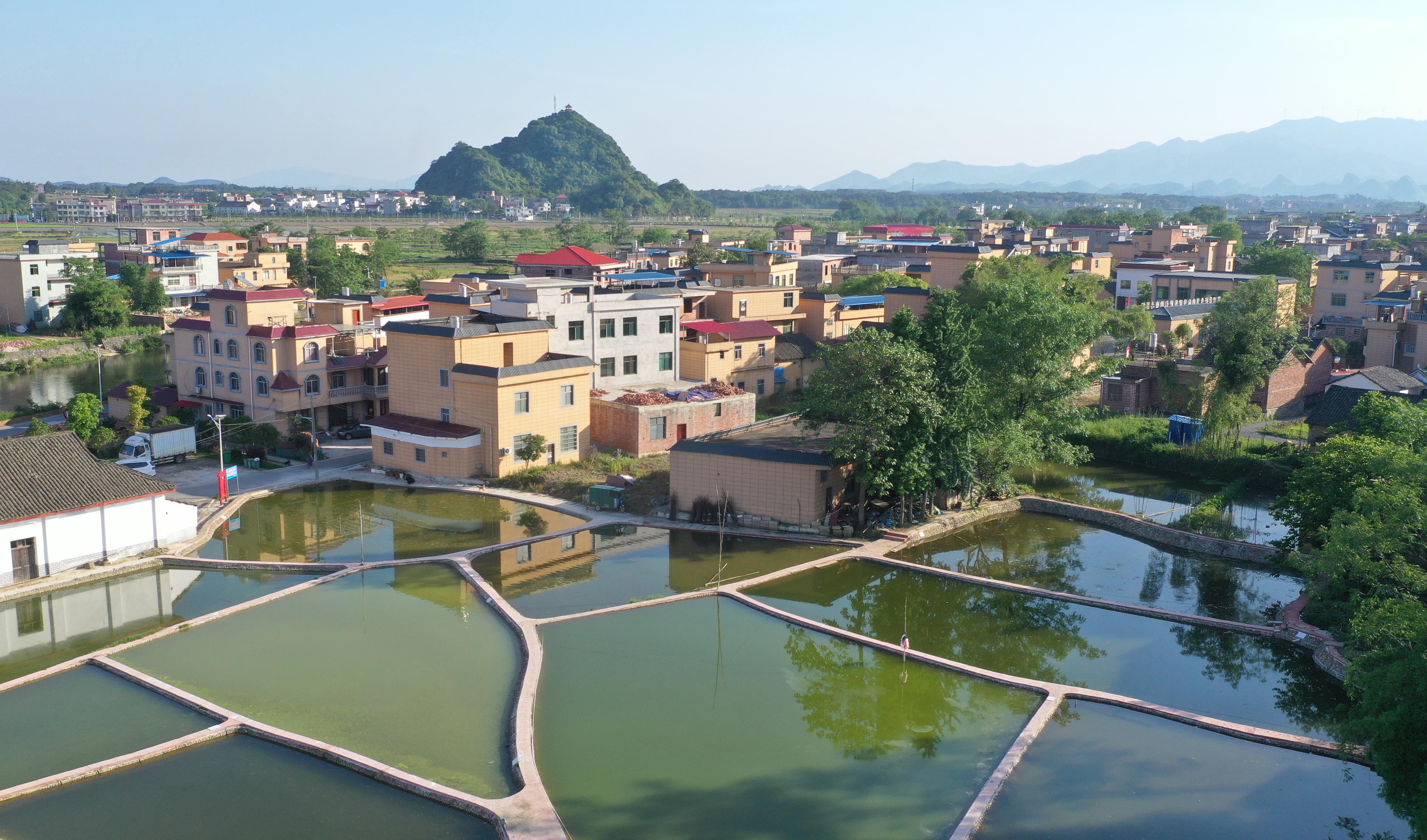 DJI_079801.jpg