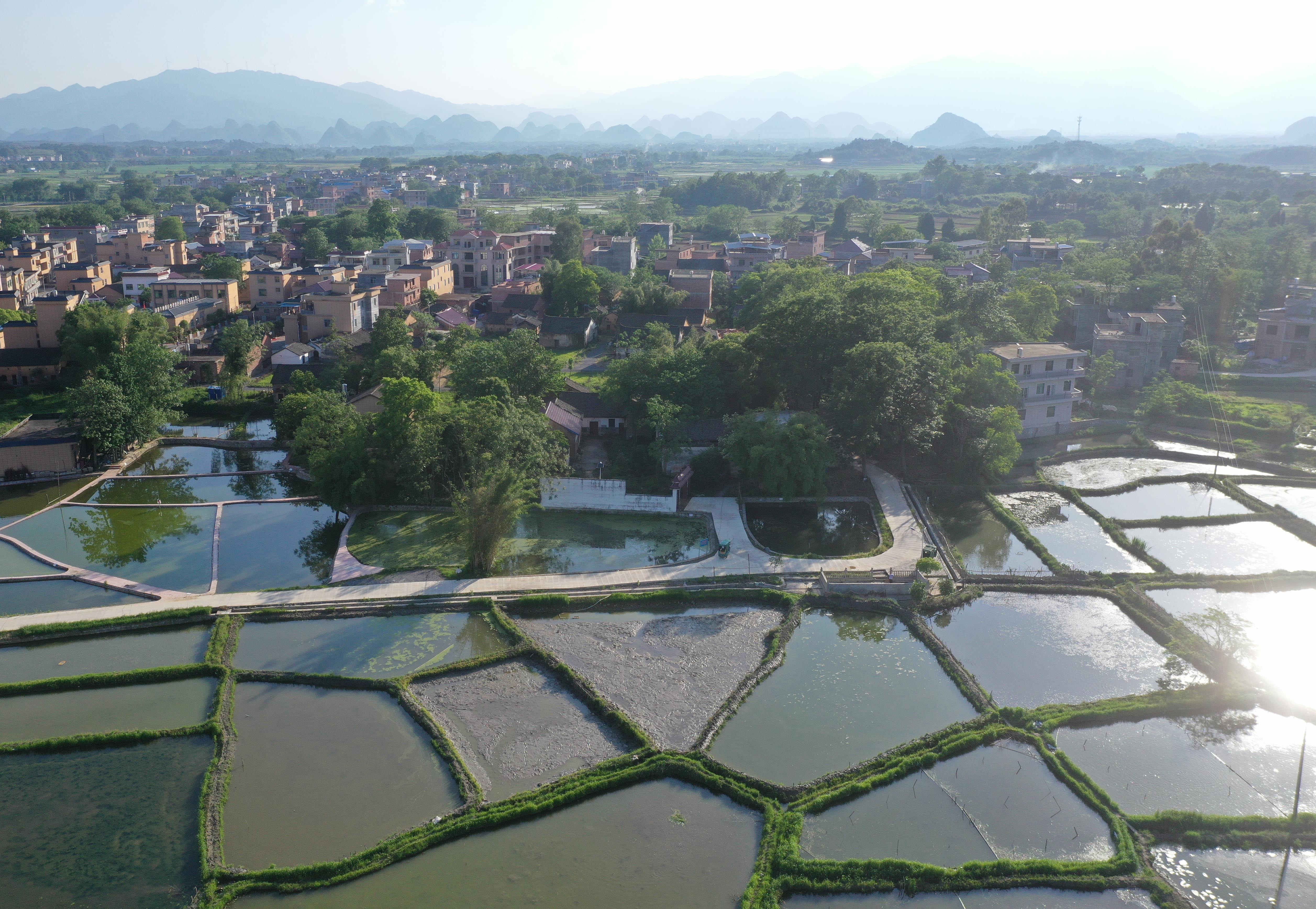 DJI_079901.jpg