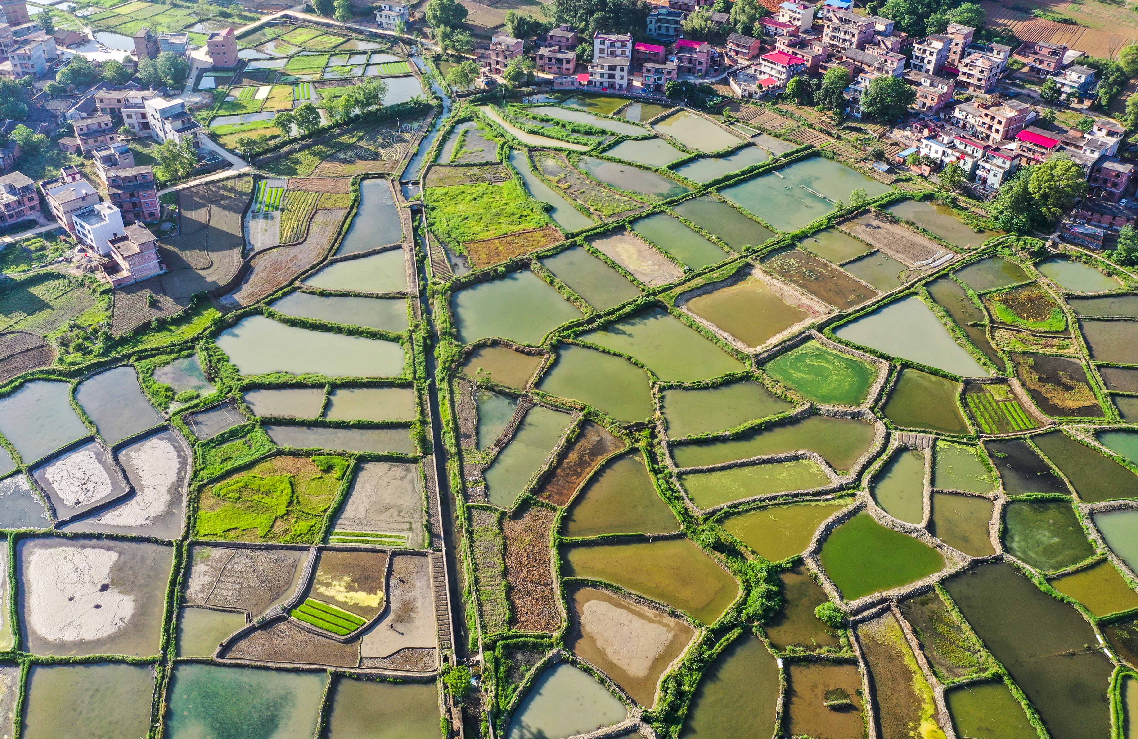 DJI_080201.jpg