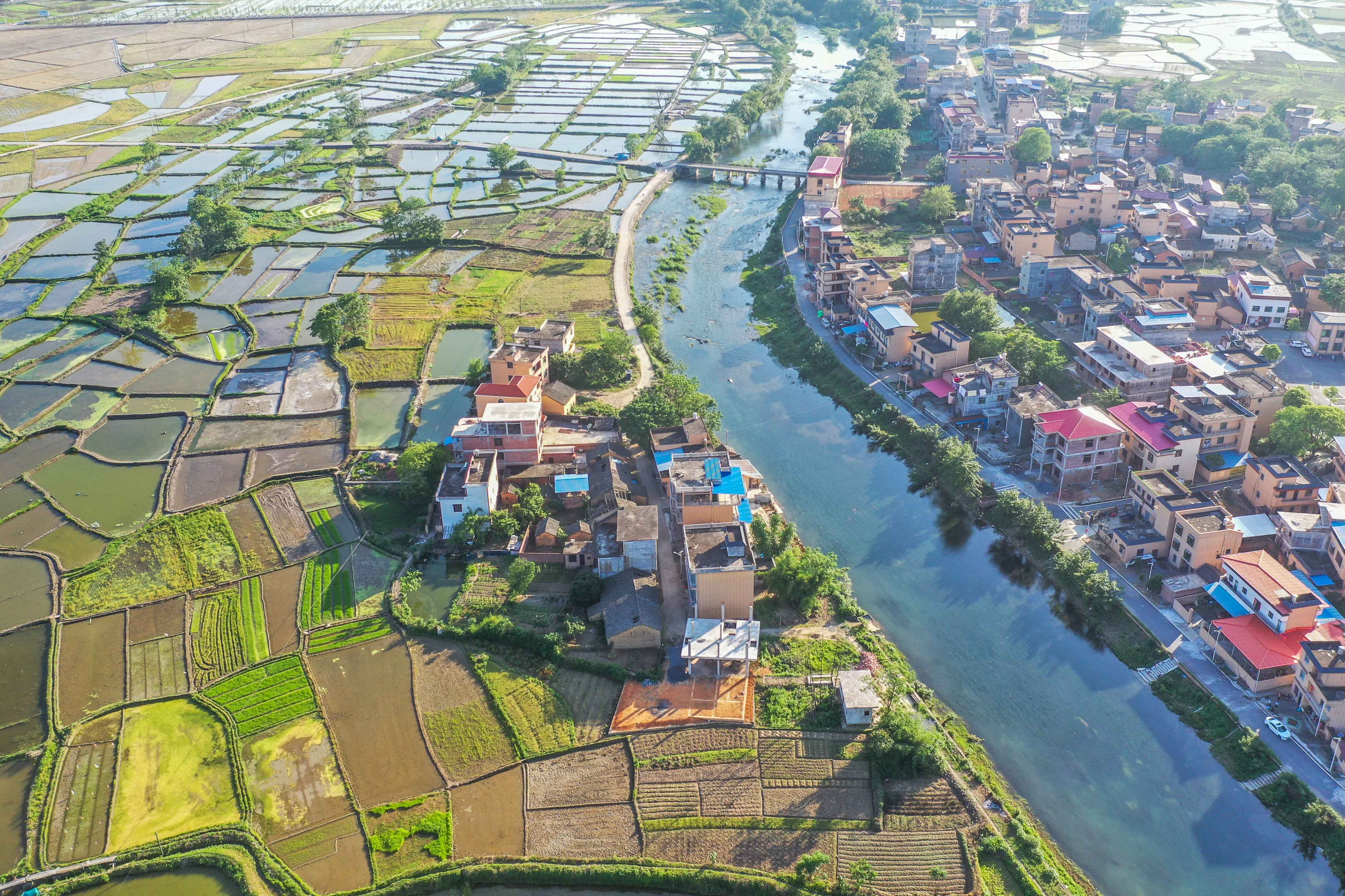 DJI_081701.jpg