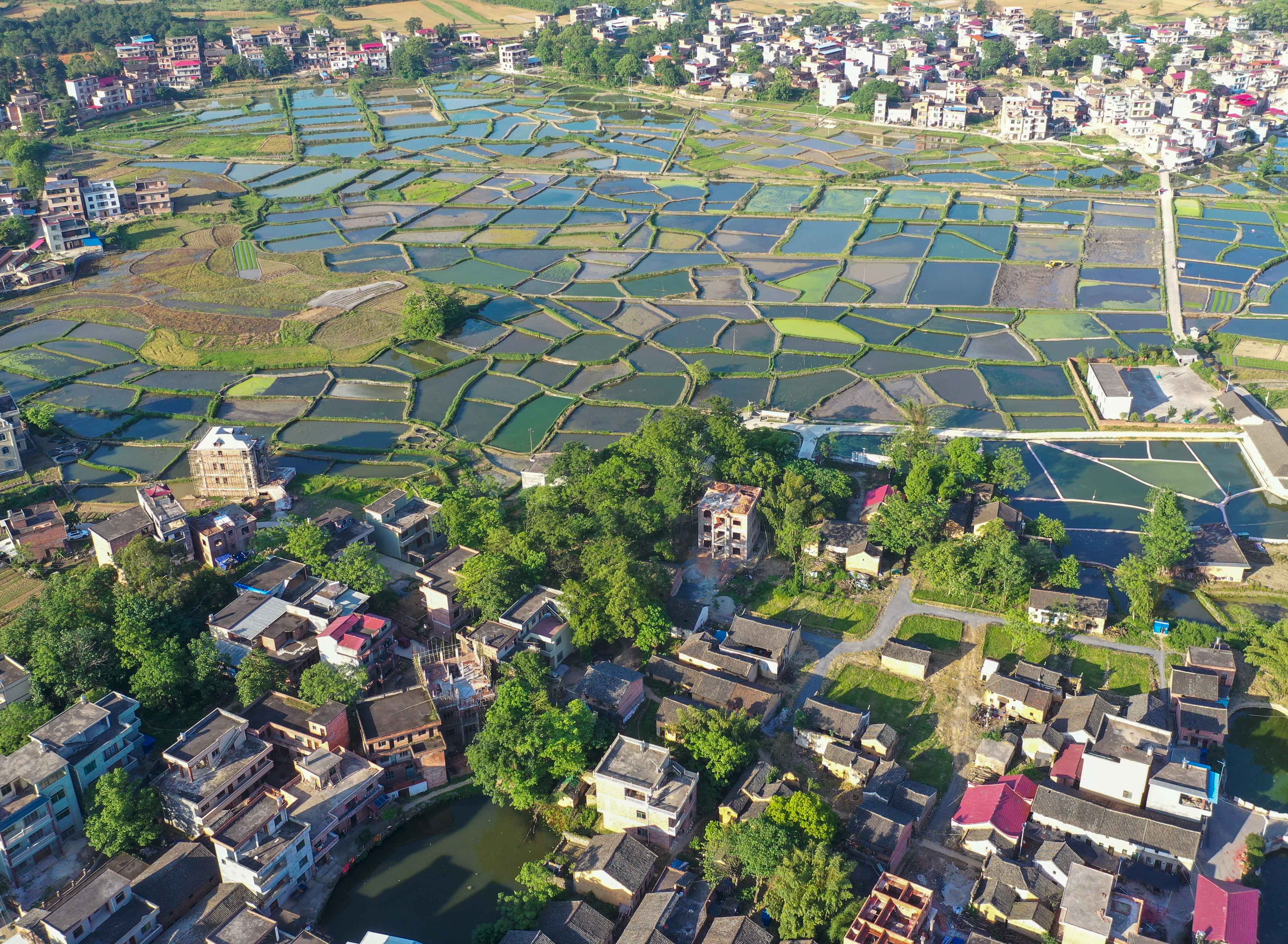 DJI_082001.jpg