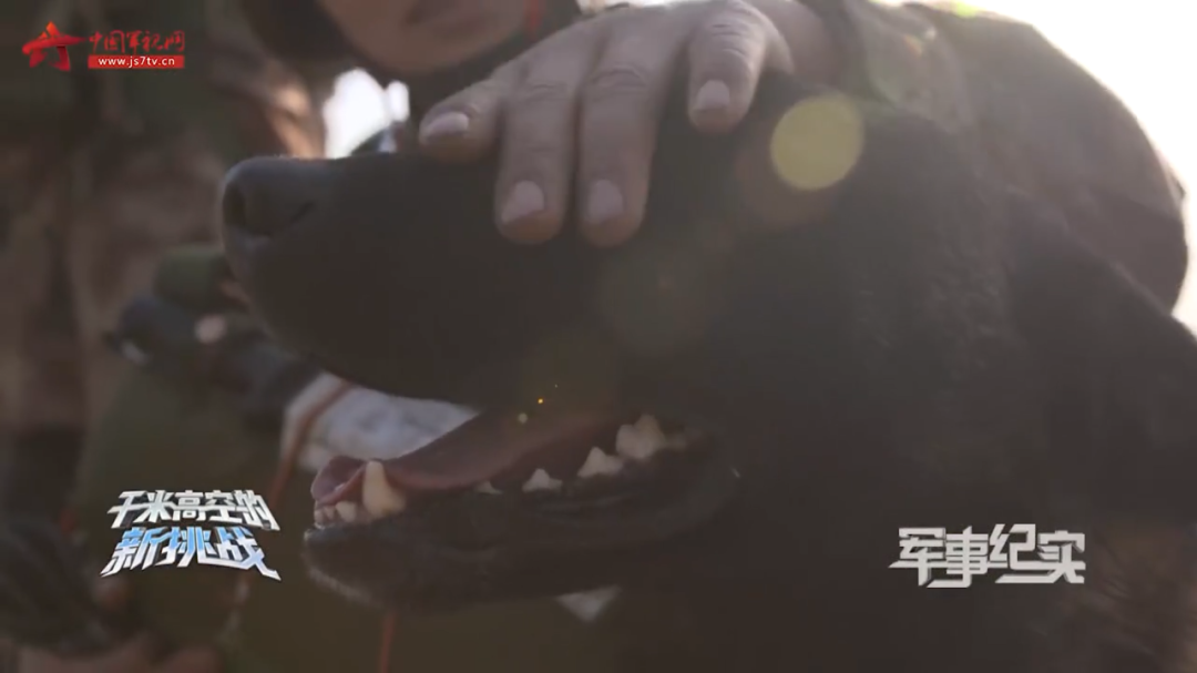 微信图片_20210518110327.png