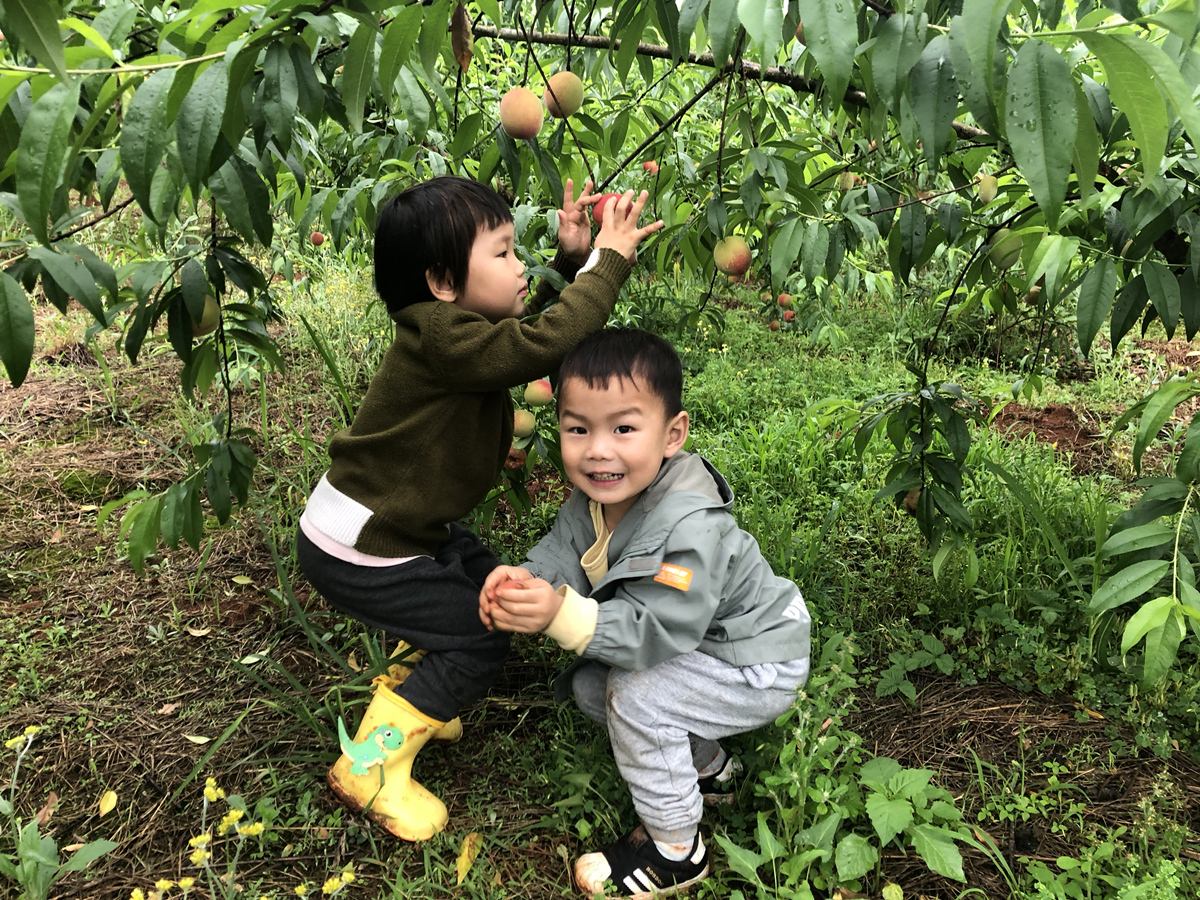 微信图片_20210505091309.jpg