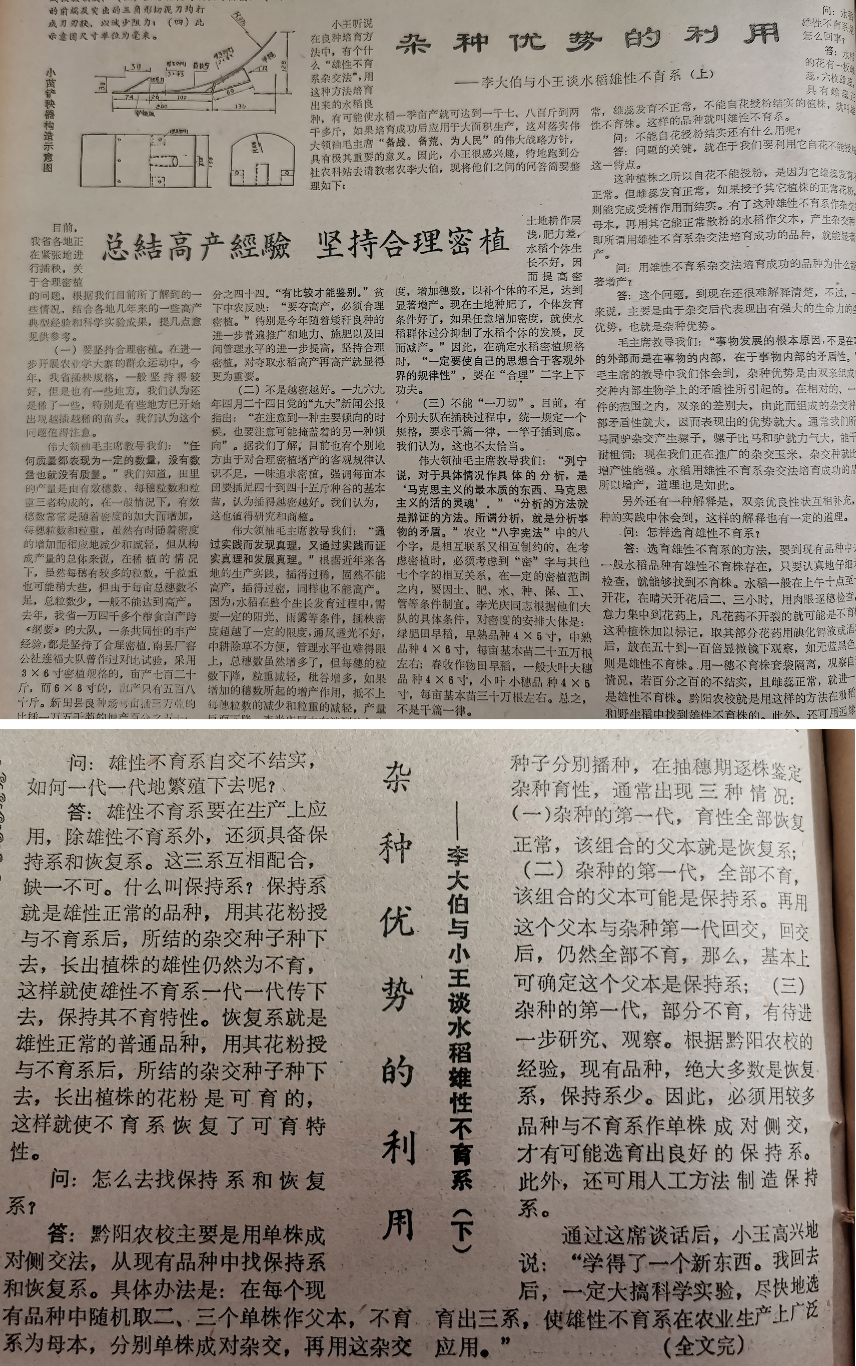 《湖南科技报》最早宣传袁隆平的杂交稻研究成果.jpg
