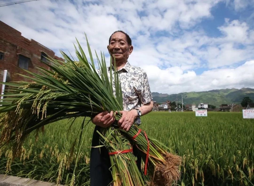 src=http___www.chinamil.com.cn_gnxw_attachement_jpg_site351_20190102_309c237049081d96bc6323.jpg&refer=http___www.chinamil.com.jpg