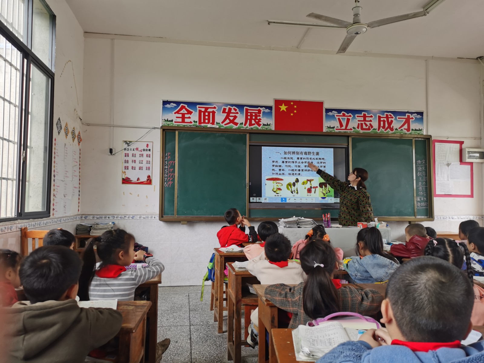 【图片新闻】预防野生蘑菇中毒.jpg