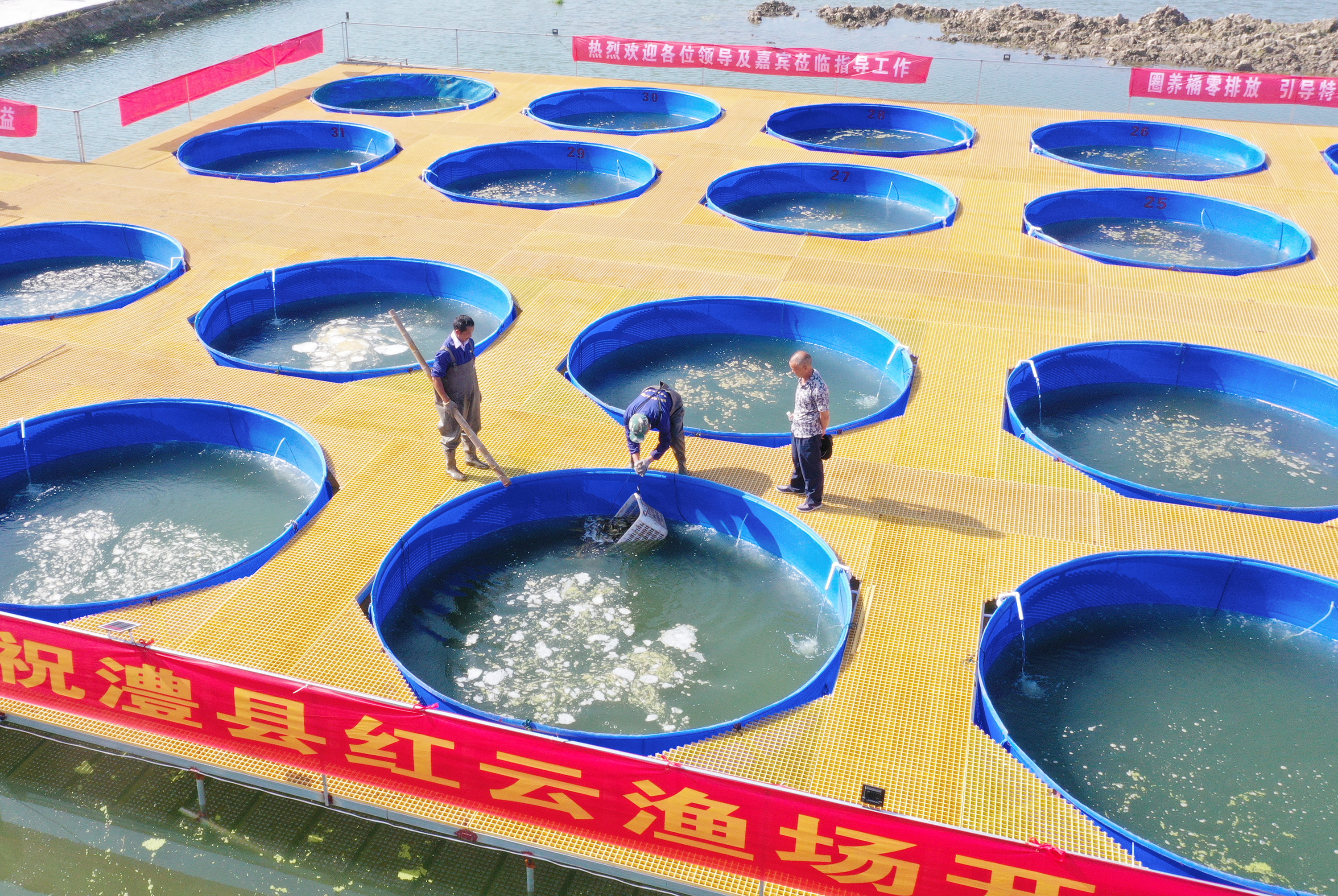 圈养特色鱼 盘活致富“棋” (2).JPG