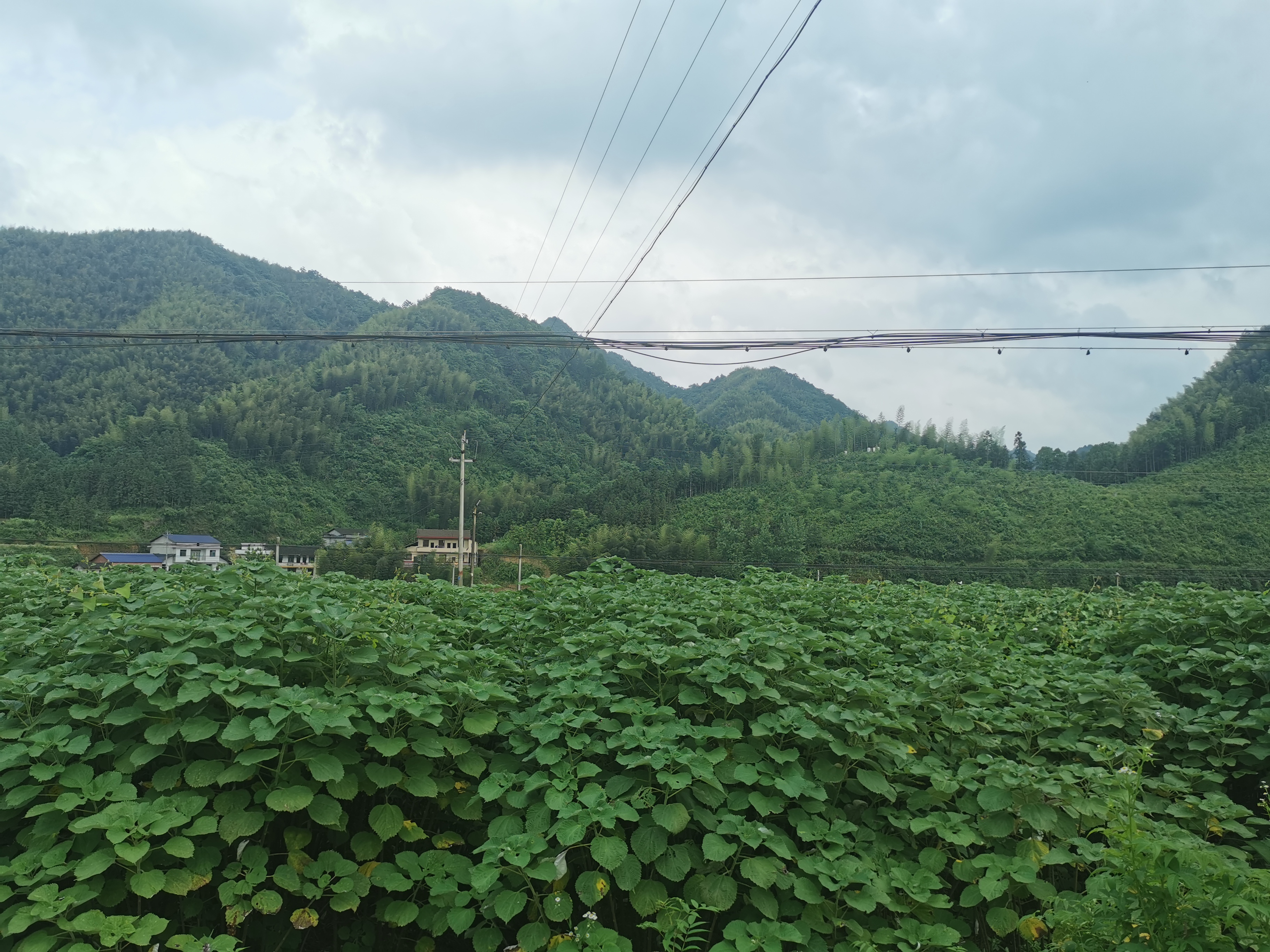 微信图片_20210604053023.jpg