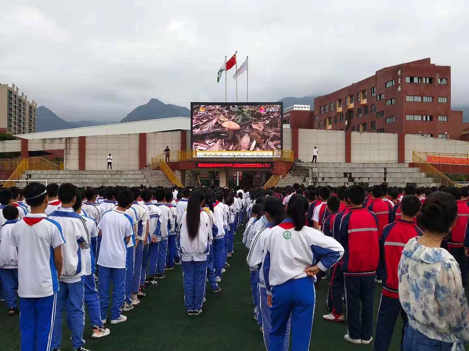 茶陵县思源实验学校组织全校学生观看野生蘑菇中毒防控视频.jpg