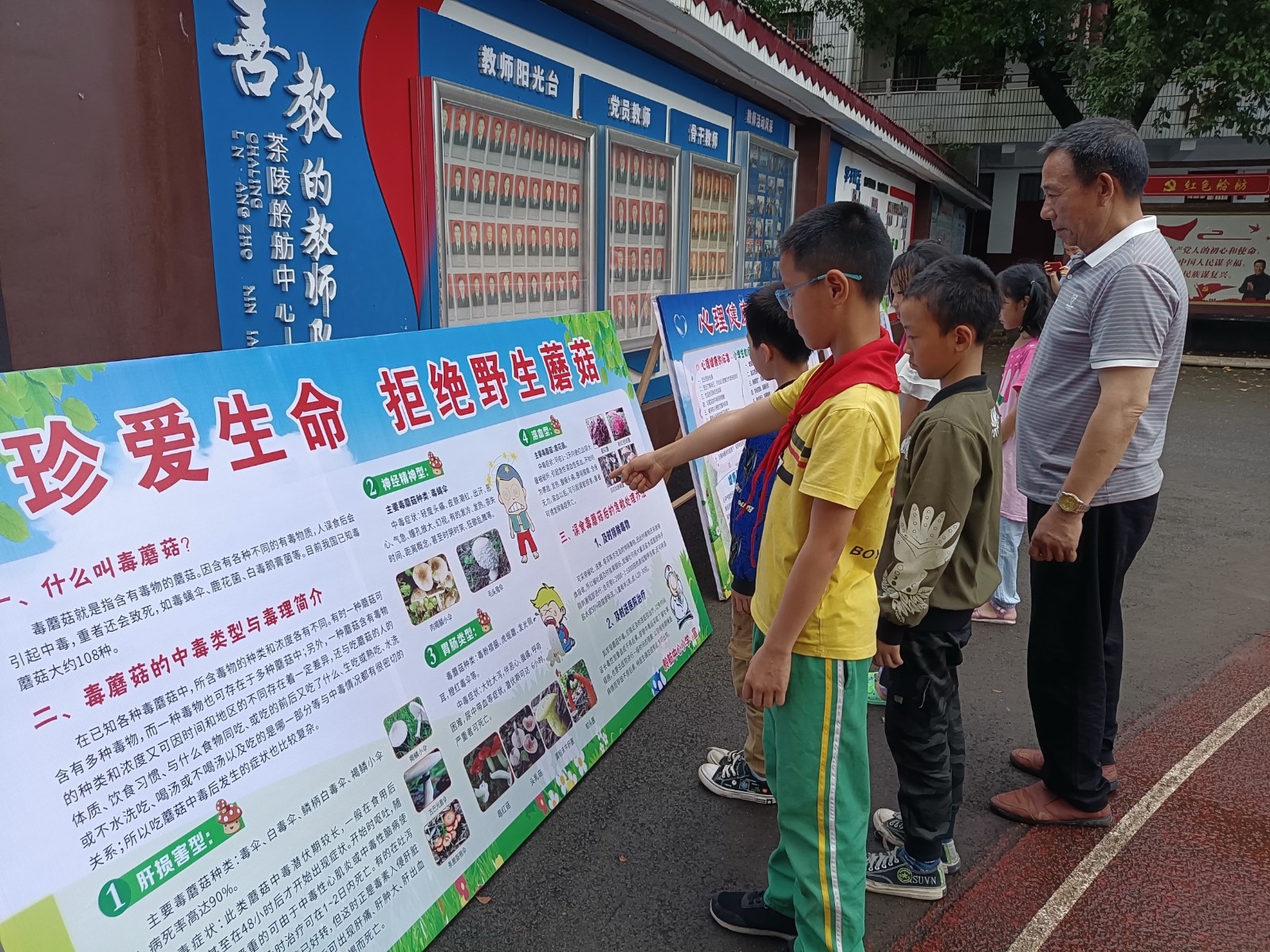 茶陵县舲舫中心小学宣传食品安全知识展板.jpg