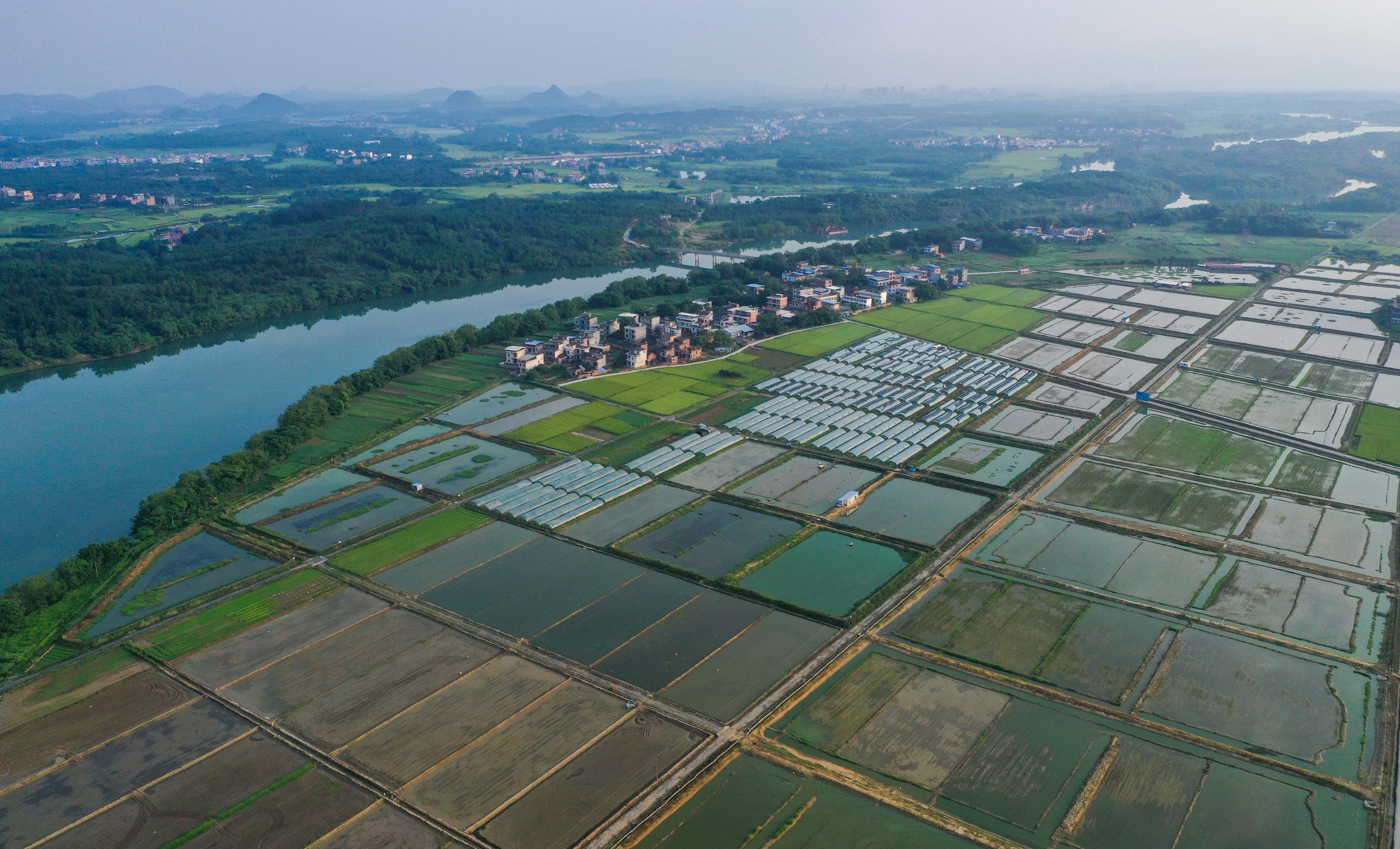 2021年7月5日，航拍下的湖南省永州市道县蚣坝镇洲背村稻虾混养基地。 (5).jpg