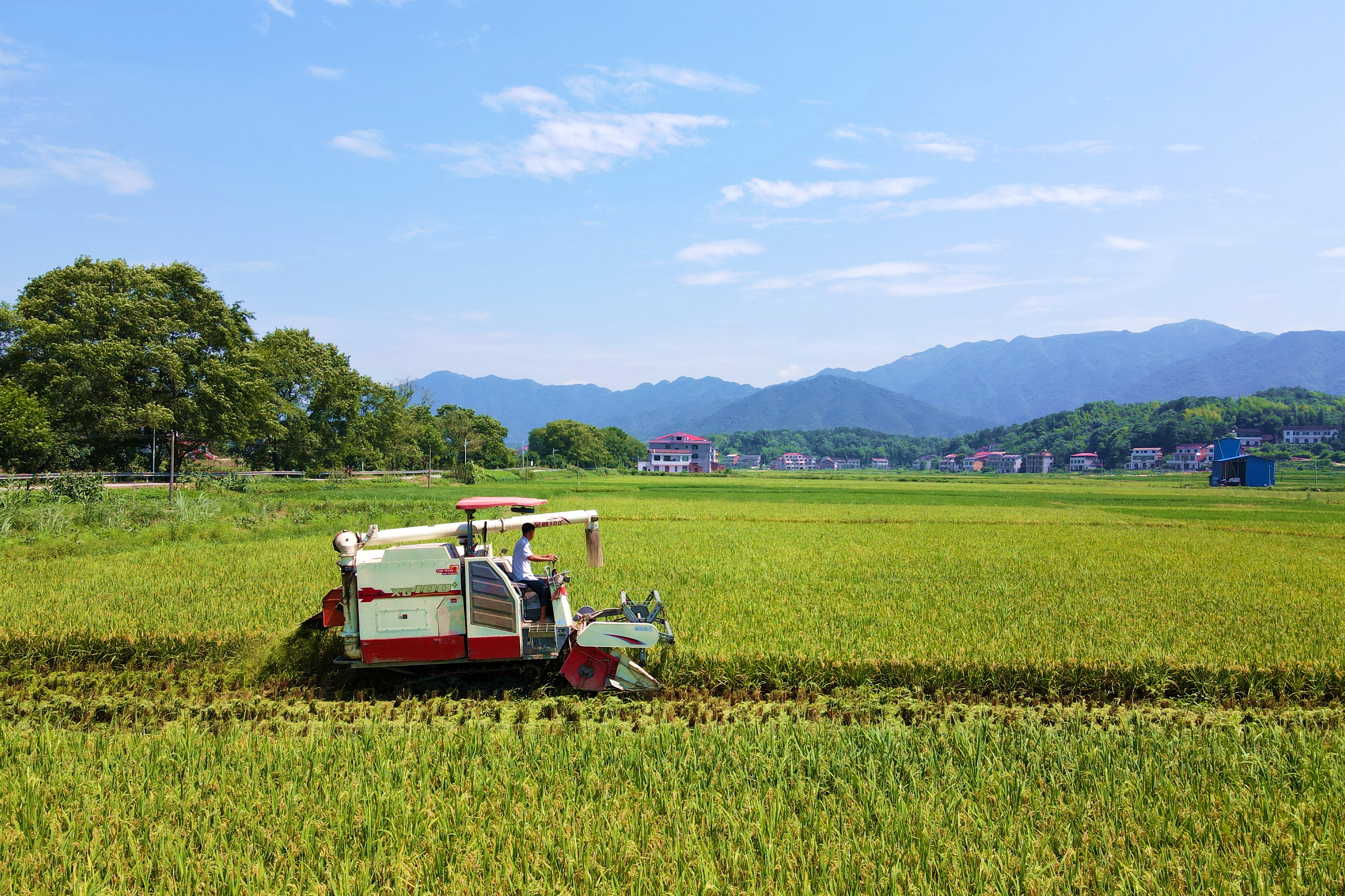 DJI_0393_副本.jpg
