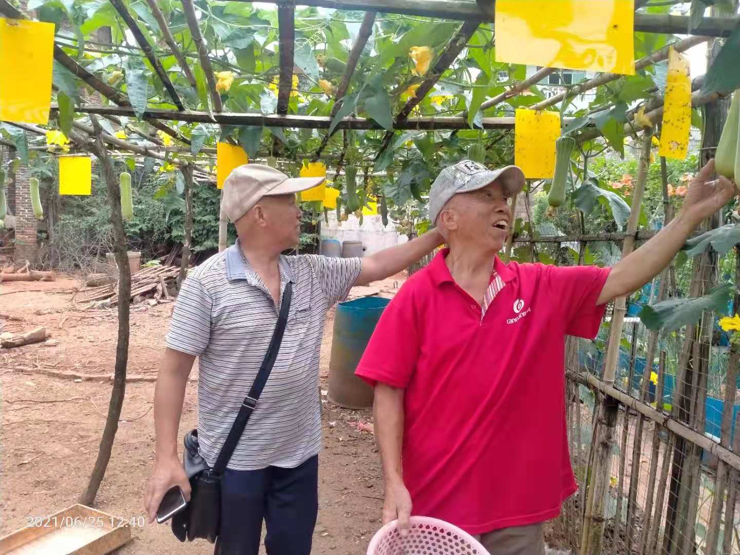 微信图片_20210625195306.jpg