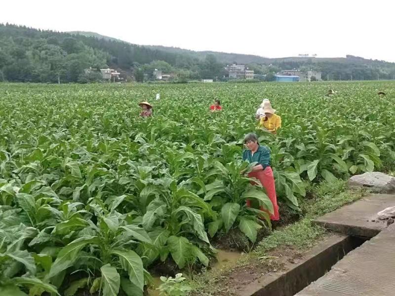 微信图片_20210719163529.jpg