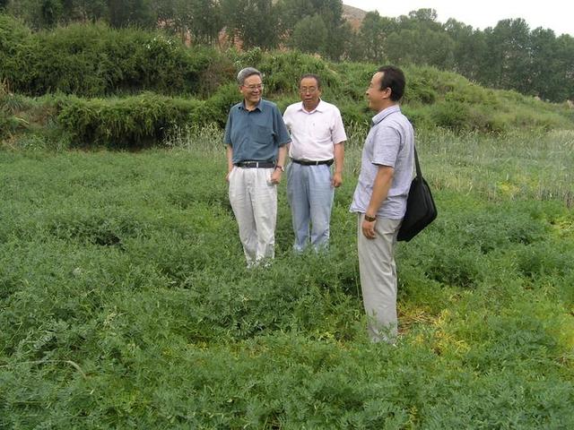 南志标（左）在青海调查牧草新品种生长情况（2010年8月9日摄）。 新华社发.jpeg