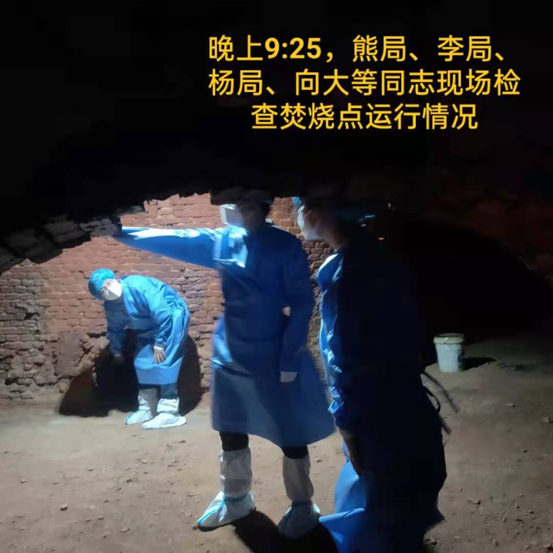 图片5.jpg