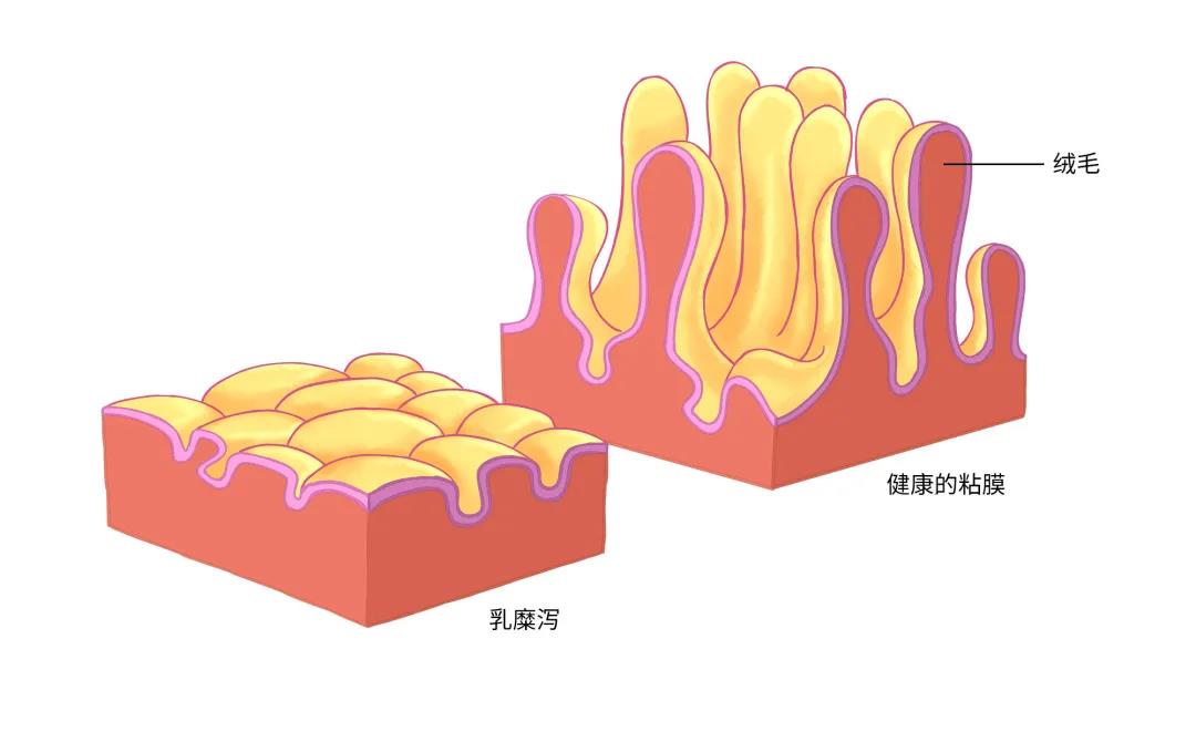 微信图片_20210816185436.jpg