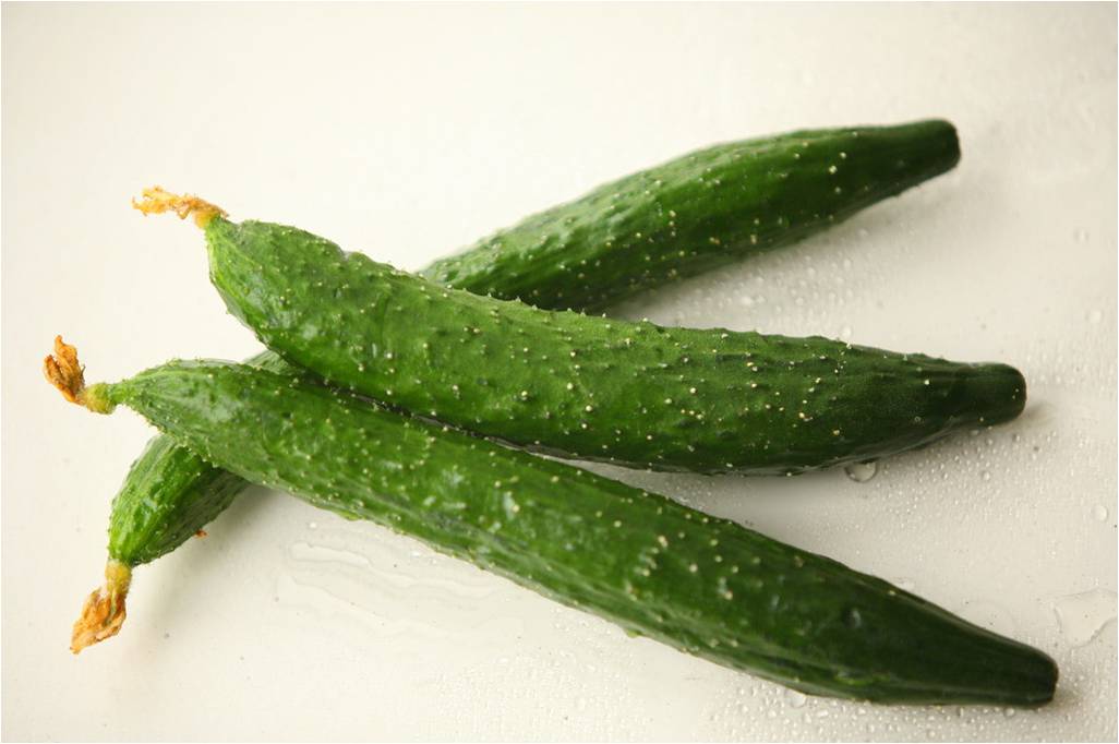 黄瓜.jpg