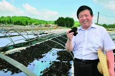 李玉院士在黑木耳基地查看生产情况。吉林农业大学供图