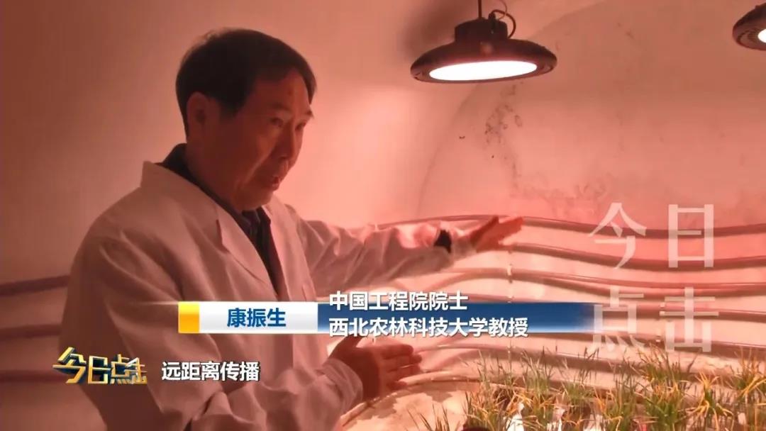 康振生院士.jpg