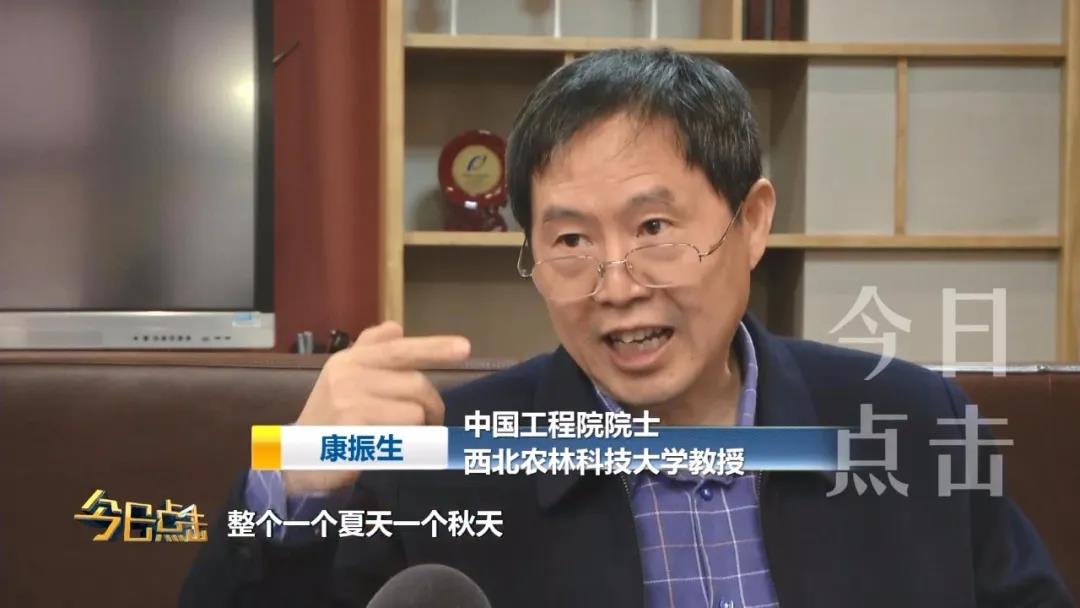 康振生接受采访.jpg