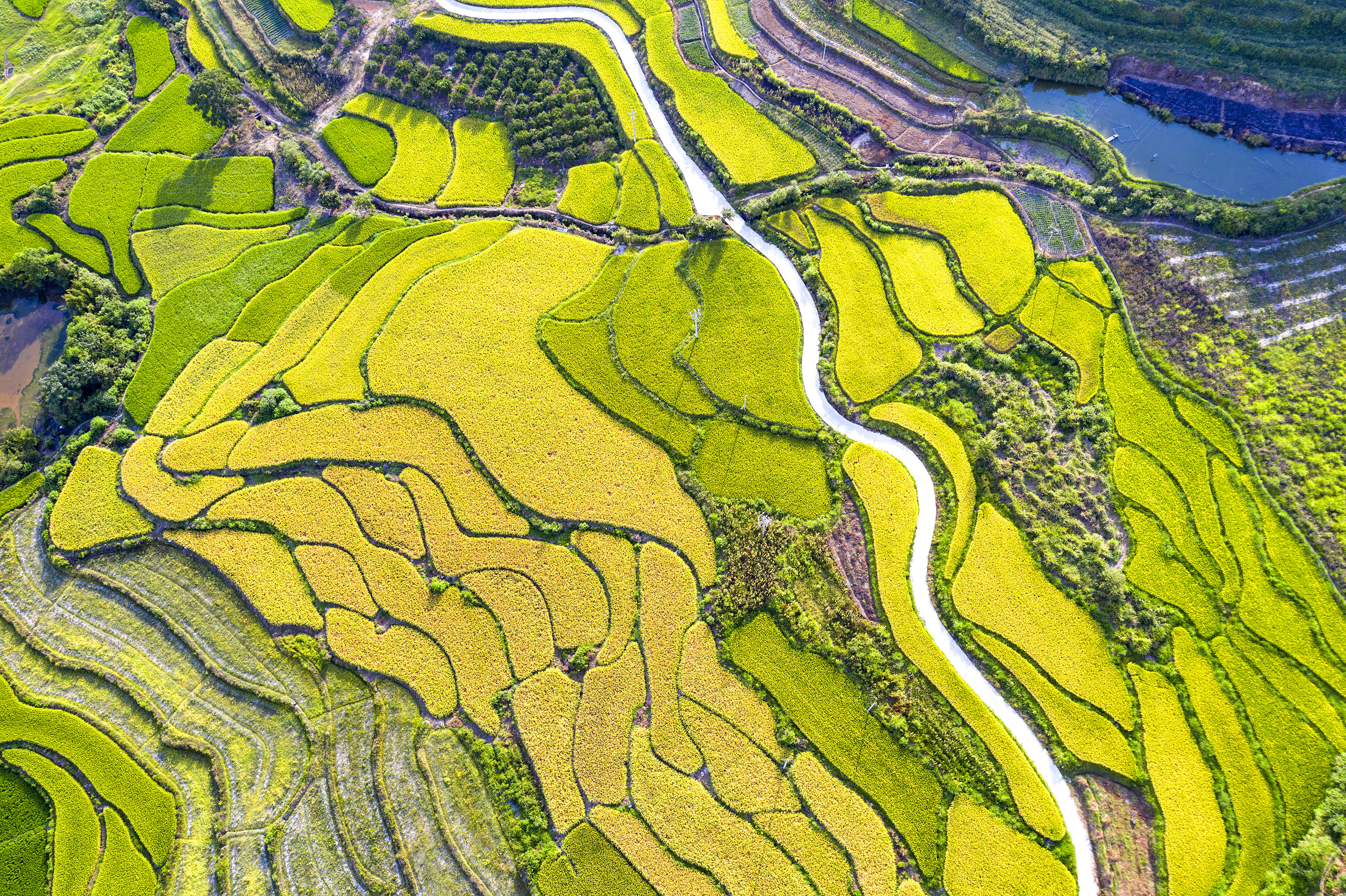 靖州县2.jpg