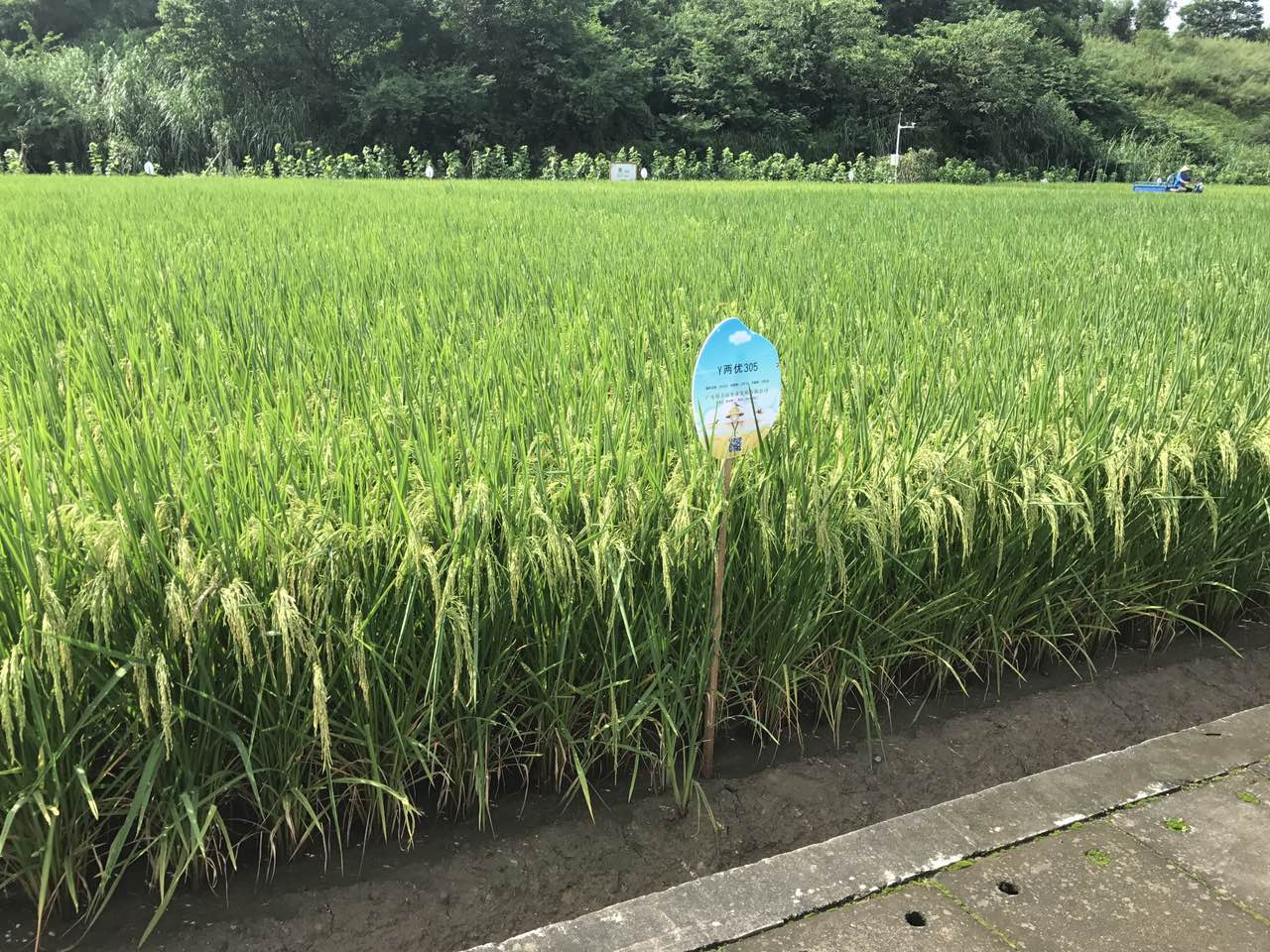 微信图片_20210909152541.jpg
