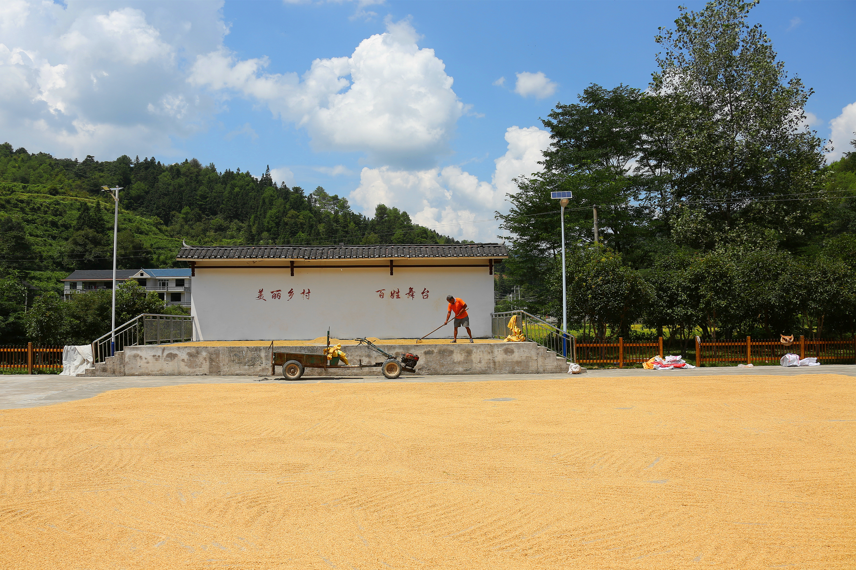 186A4528_副本.jpg