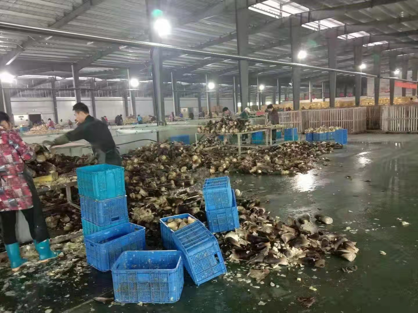 微信图片_20211020103639.jpg