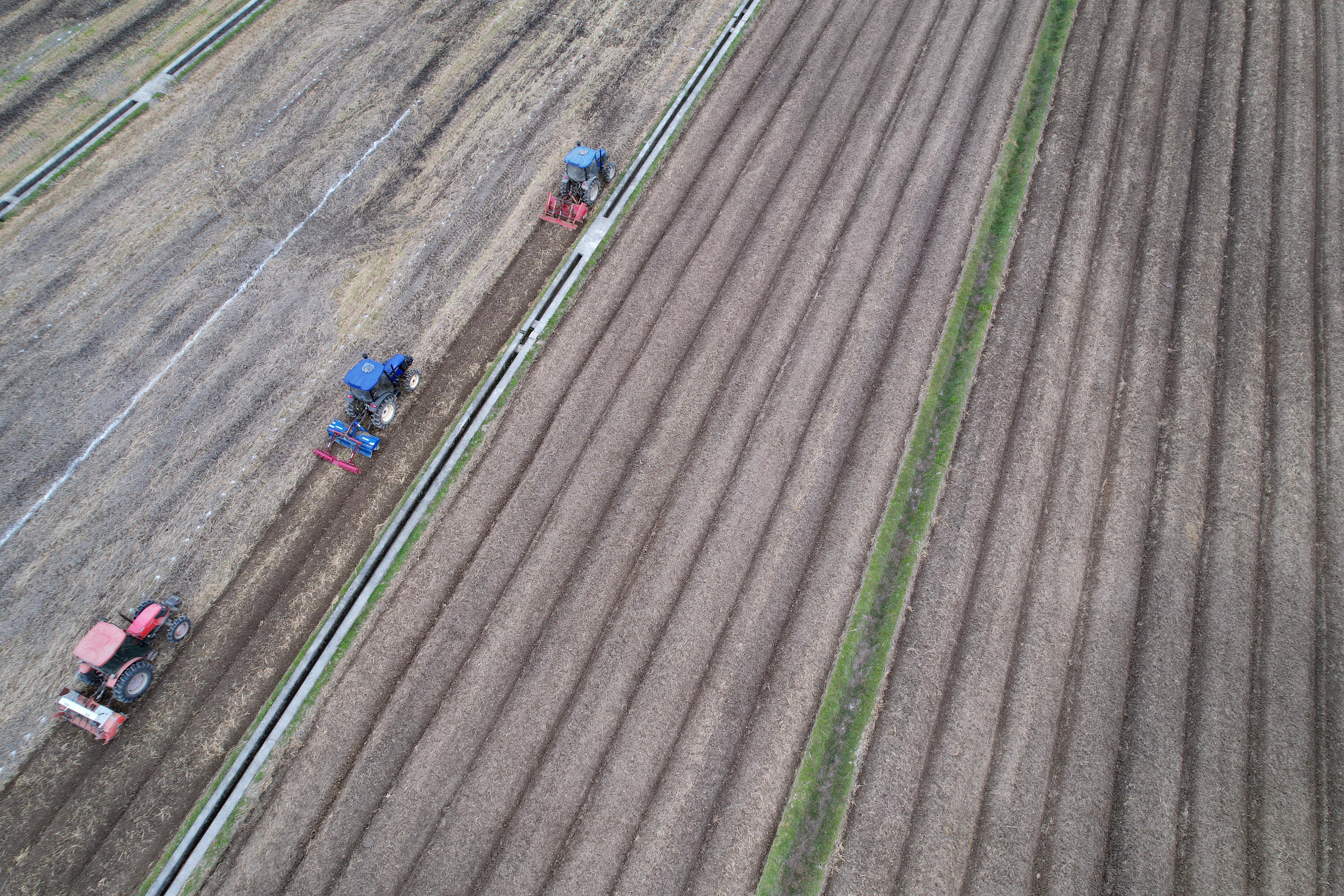 Photo_6554135_DJI_535_jpg_11477660_0_202110716360.jpg
