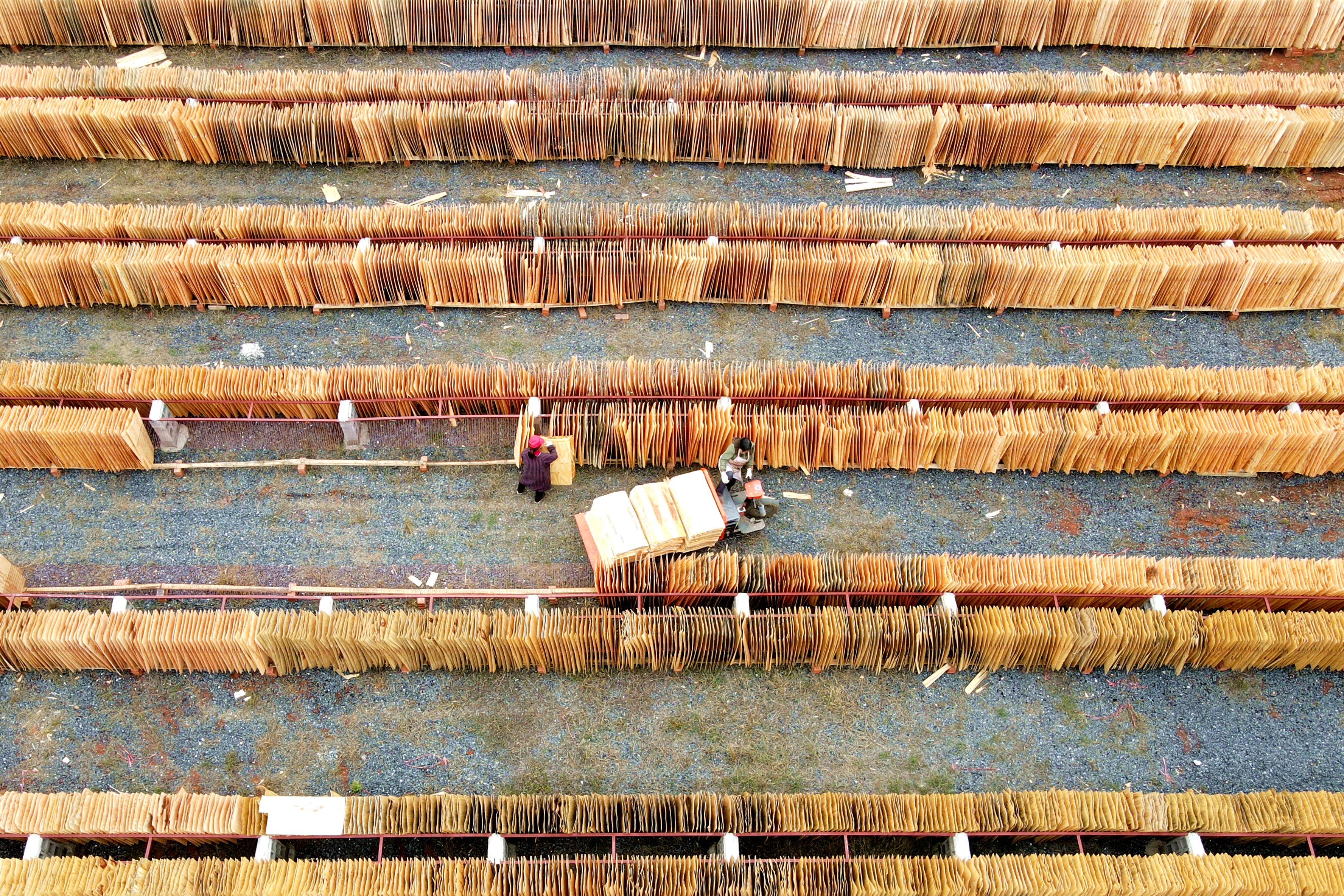 DJI_0709_副本.jpg