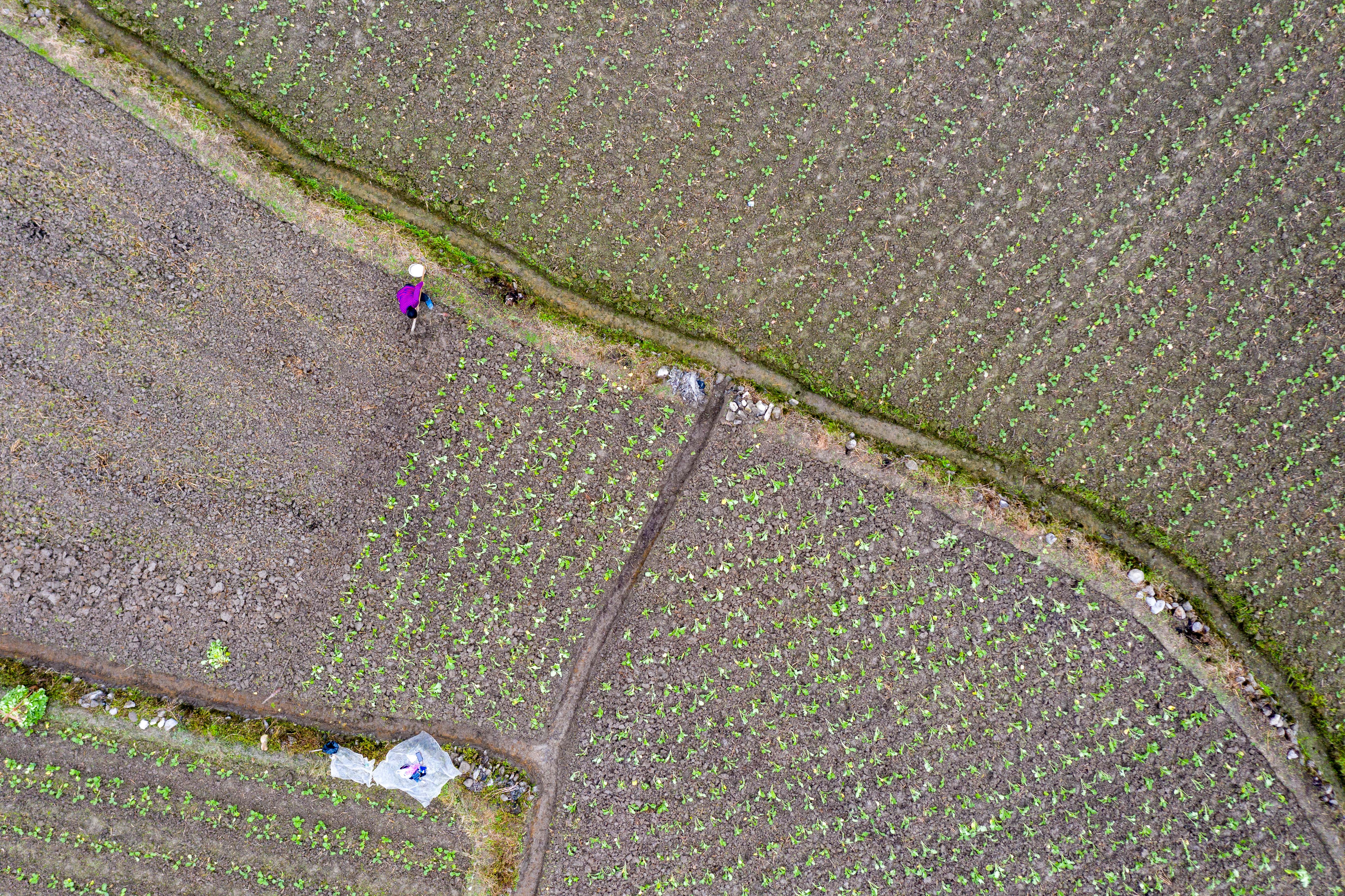 DJI_0477.jpg