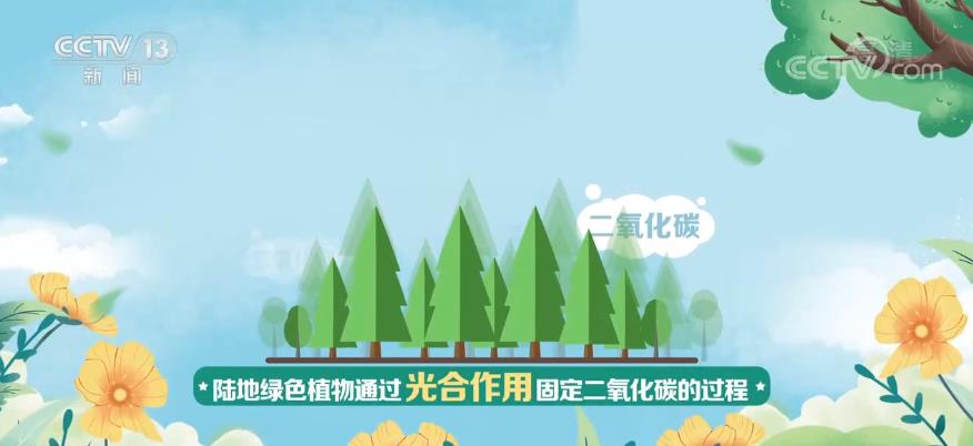 碳汇2.jpg