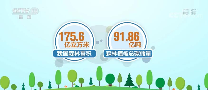 碳汇4.jpg