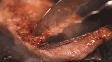 1344.gif