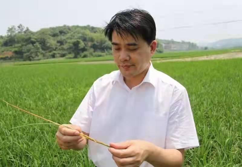 柏连阳.jpg
