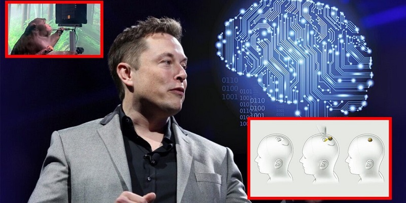 图片来源：spacexmania.com网站相关报道