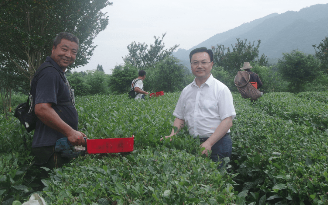 刘仲华院士（右）在白沙溪钧泽源茶园与当地农民交流。.png