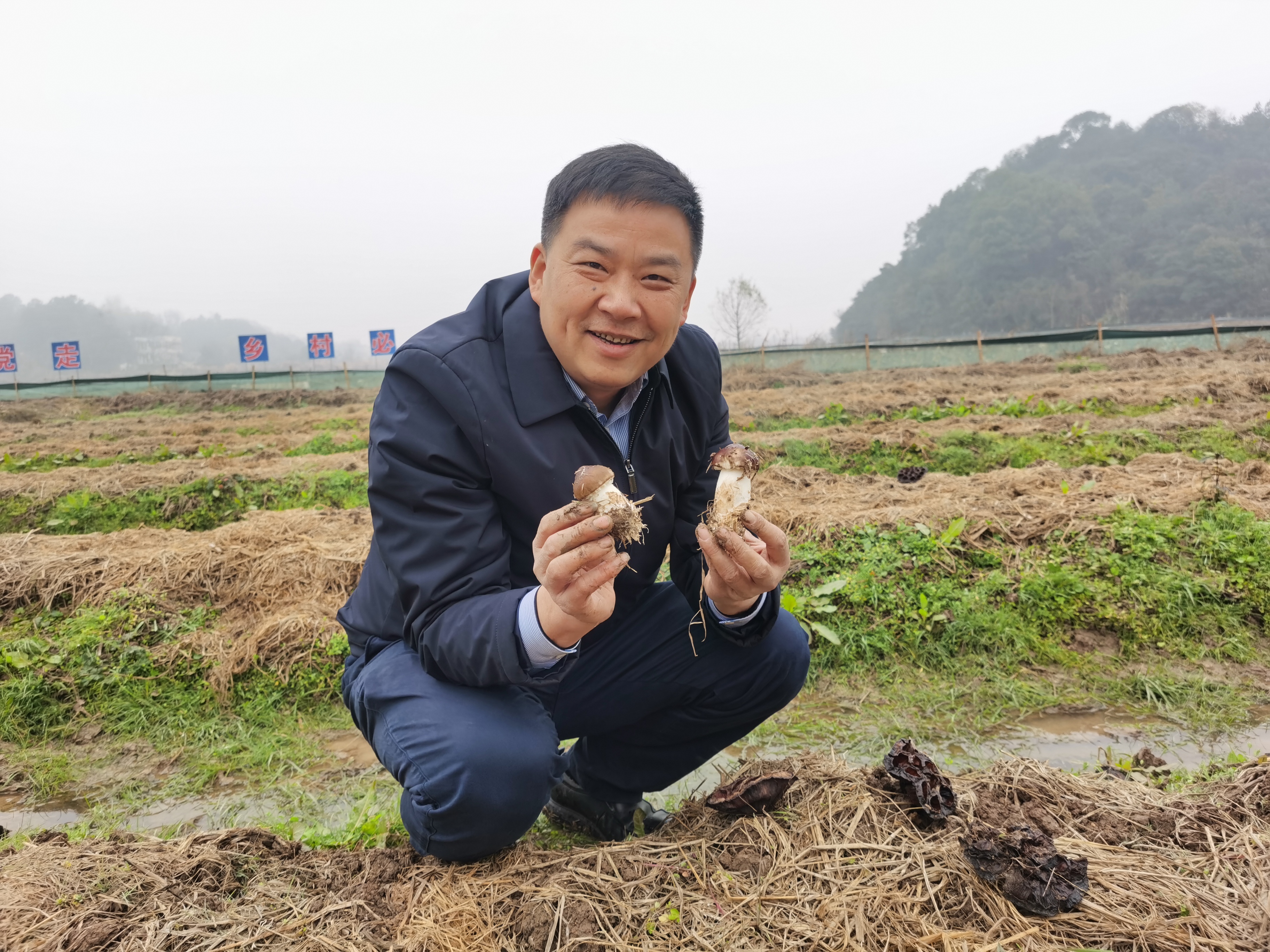邓述东展示长出的赤松茸.jpg