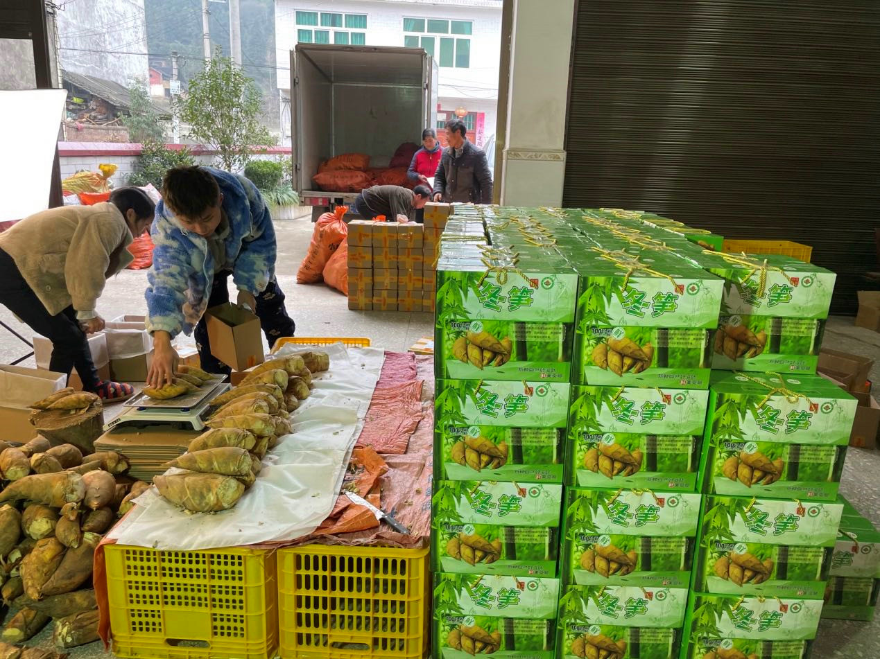 打包冬笋准备发货.jpg