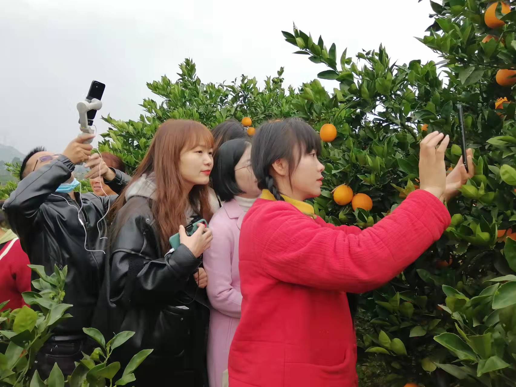 微信图片_20220208103256.jpg