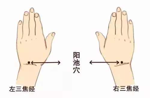 手脚冰凉超怕冷，专家教你这么办1.png